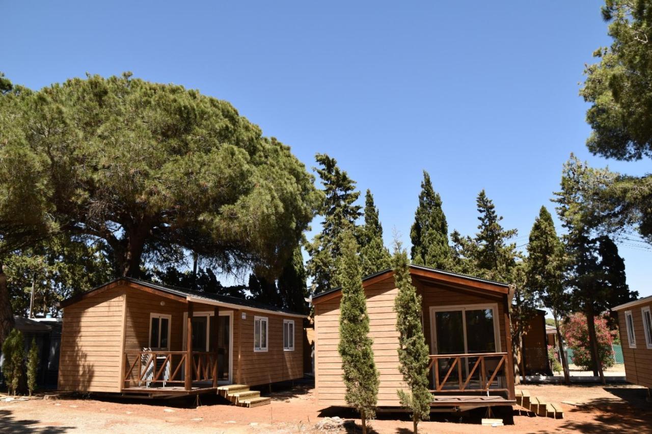 Taiga Conil Hotel Conil De La Frontera Eksteriør billede