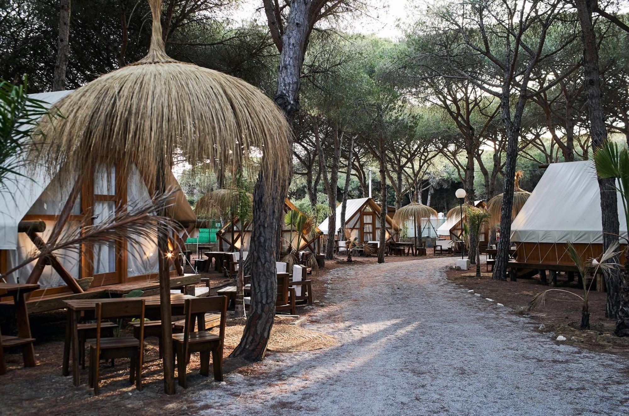Taiga Conil Hotel Conil De La Frontera Eksteriør billede